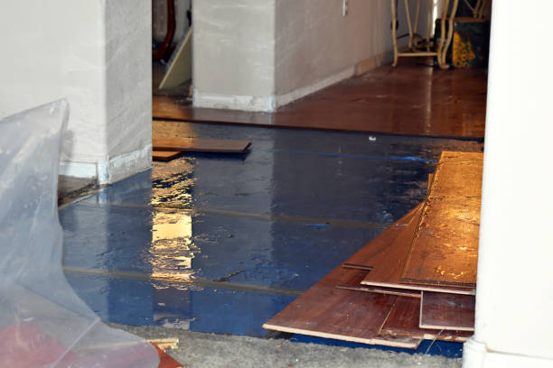Professional Basement Flood Cleanup technician working in Rochester, IL